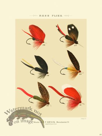 Favorite Flies 30 Bass